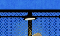 蓝夜未央